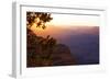 USA, Grand Canyon National Park, Evening Light-Catharina Lux-Framed Photographic Print