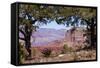 USA, Grand Canyon National Park, South Rim-Catharina Lux-Framed Stretched Canvas