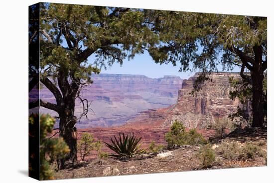 USA, Grand Canyon National Park, South Rim-Catharina Lux-Stretched Canvas