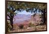 USA, Grand Canyon National Park, South Rim-Catharina Lux-Framed Photographic Print