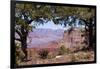 USA, Grand Canyon National Park, South Rim-Catharina Lux-Framed Photographic Print