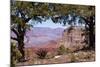 USA, Grand Canyon National Park, South Rim-Catharina Lux-Mounted Photographic Print