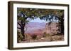 USA, Grand Canyon National Park, South Rim-Catharina Lux-Framed Photographic Print