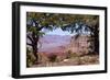 USA, Grand Canyon National Park, South Rim-Catharina Lux-Framed Photographic Print