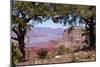 USA, Grand Canyon National Park, South Rim-Catharina Lux-Mounted Photographic Print