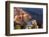 USA, Grand Canyon National Park, Sunrise, Man on Rock Ledge-Catharina Lux-Framed Photographic Print