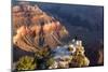 USA, Grand Canyon National Park, Sunrise, Man on Rock Ledge-Catharina Lux-Mounted Photographic Print