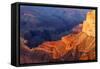 USA, Grand Canyon National Park, Sunset-Catharina Lux-Framed Stretched Canvas