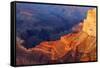 USA, Grand Canyon National Park, Sunset-Catharina Lux-Framed Stretched Canvas