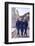 Usa Gymnasts Sharon Richardson, Doris Fuchs, and Muriel Davis-Grossfeld, 1960 Rome Olympic Games-George Silk-Framed Photographic Print