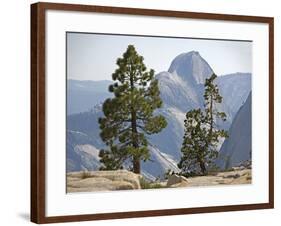 USA Half Dome Seen Through Jeffrey Pine-null-Framed Photographic Print