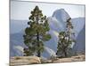 USA Half Dome Seen Through Jeffrey Pine-null-Mounted Photographic Print