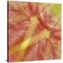 USA, Hawaii. Anthurium Flower Montage-Jaynes Gallery-Stretched Canvas