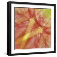 USA, Hawaii. Anthurium Flower Montage-Jaynes Gallery-Framed Photographic Print