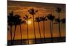 USA, Hawaii, Big Island. Sun setting on Anaehoomalu Bay.-Julie Eggers-Mounted Photographic Print