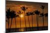 USA, Hawaii, Big Island. Sun setting on Anaehoomalu Bay.-Julie Eggers-Mounted Photographic Print