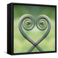 USA, Hawaii. Frond Montage at Akaka Falls State Park-Jaynes Gallery-Framed Stretched Canvas