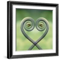 USA, Hawaii. Frond Montage at Akaka Falls State Park-Jaynes Gallery-Framed Photographic Print