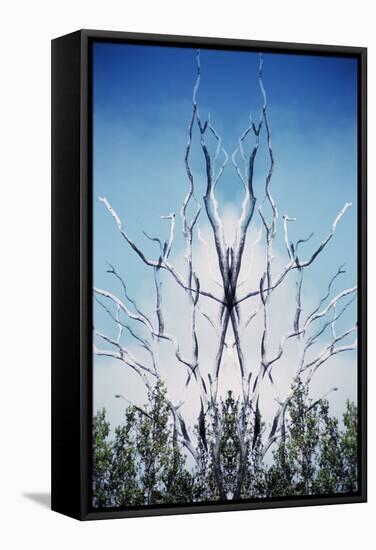 USA, Hawaii, Hawaii Volcanoes National Park. Montage of Dead Trees and Regrowth-Jaynes Gallery-Framed Stretched Canvas