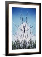 USA, Hawaii, Hawaii Volcanoes National Park. Montage of Dead Trees and Regrowth-Jaynes Gallery-Framed Photographic Print