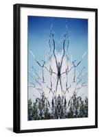 USA, Hawaii, Hawaii Volcanoes National Park. Montage of Dead Trees and Regrowth-Jaynes Gallery-Framed Photographic Print