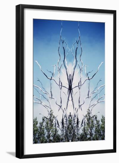 USA, Hawaii, Hawaii Volcanoes National Park. Montage of Dead Trees and Regrowth-Jaynes Gallery-Framed Photographic Print