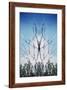 USA, Hawaii, Hawaii Volcanoes National Park. Montage of Dead Trees and Regrowth-Jaynes Gallery-Framed Photographic Print