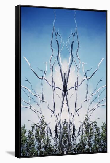 USA, Hawaii, Hawaii Volcanoes National Park. Montage of Dead Trees and Regrowth-Jaynes Gallery-Framed Stretched Canvas