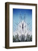 USA, Hawaii, Hawaii Volcanoes National Park. Montage of Dead Trees and Regrowth-Jaynes Gallery-Framed Photographic Print