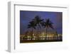 USA, Hawaii, Honolulu, Palm Trees with the night lights of Honolulu-Terry Eggers-Framed Photographic Print