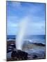 USA, Hawaii, Kauai. a Blowhole Spouts Seawater-Jaynes Gallery-Mounted Photographic Print