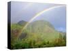 USA, Hawaii, Kauai. Hawaiian Rainbow-Jaynes Gallery-Stretched Canvas