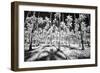 USA, Hawaii, Kauai, Infrared of palm trees of Kauai-Terry Eggers-Framed Photographic Print