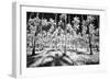 USA, Hawaii, Kauai, Infrared of palm trees of Kauai-Terry Eggers-Framed Photographic Print