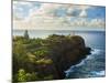 USA, Hawaii, Kauai, Kilauea Lighthouse-Michele Falzone-Mounted Photographic Print