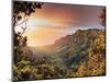 USA, Hawaii, Kauai, Kokee State Park, Kalalau Valley-Michele Falzone-Mounted Photographic Print