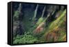 USA, Hawaii, Kauai. Na Pali Cliffs from Awa'Awapui Trail-Roddy Scheer-Framed Stretched Canvas