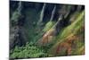 USA, Hawaii, Kauai. Na Pali Cliffs from Awa'Awapui Trail-Roddy Scheer-Mounted Photographic Print