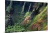 USA, Hawaii, Kauai. Na Pali Cliffs from Awa'Awapui Trail-Roddy Scheer-Mounted Photographic Print