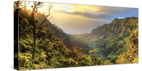 USA, Hawaii, Kauai, Na Pali Coast, Kalalau Valley-Michele Falzone-Stretched Canvas