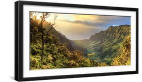 USA, Hawaii, Kauai, Na Pali Coast, Kalalau Valley-Michele Falzone-Framed Photographic Print