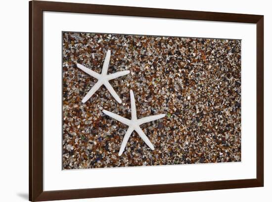 USA, Hawaii, Kauai. Starfish skeletons on Glass Beach.-Jaynes Gallery-Framed Premium Photographic Print