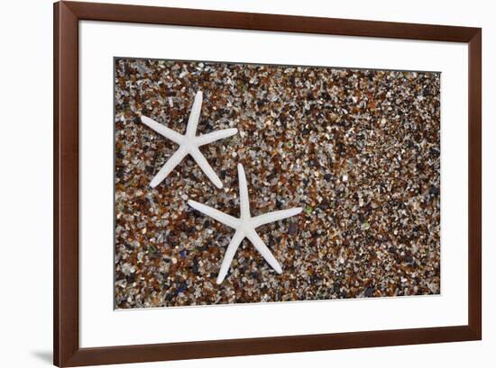 USA, Hawaii, Kauai. Starfish skeletons on Glass Beach.-Jaynes Gallery-Framed Premium Photographic Print