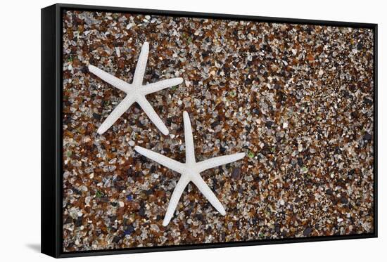 USA, Hawaii, Kauai. Starfish skeletons on Glass Beach.-Jaynes Gallery-Framed Stretched Canvas