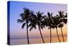USA, Hawaii, Molokai. Palm Tree, Morning-Walter Bibikow-Stretched Canvas