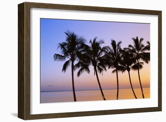 USA, Hawaii, Molokai. Palm Tree, Morning-Walter Bibikow-Framed Photographic Print