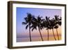 USA, Hawaii, Molokai. Palm Tree, Morning-Walter Bibikow-Framed Photographic Print