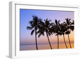 USA, Hawaii, Molokai. Palm Tree, Morning-Walter Bibikow-Framed Photographic Print