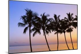 USA, Hawaii, Molokai. Palm Tree, Morning-Walter Bibikow-Mounted Photographic Print