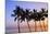 USA, Hawaii, Molokai. Palm Tree, Morning-Walter Bibikow-Mounted Photographic Print